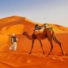 Sahara Desert in Africa paint by numbers