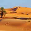 Sahara Desert paint by numbers