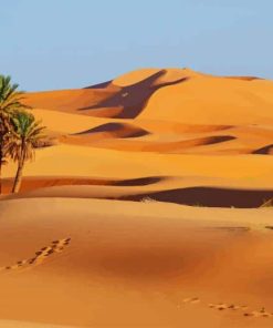 Sahara Desert paint by numbers