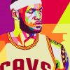 Shawn Marion Pop Art paintby numbers