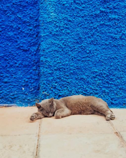 Sleeping cat in street paint by numbers