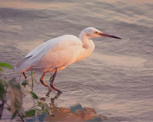 Snowy Egret paint by number