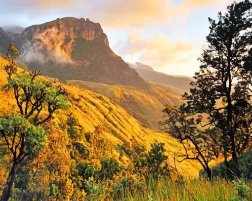 south africa mountains paiting by numbers