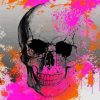 Splash Skull paint by numbers