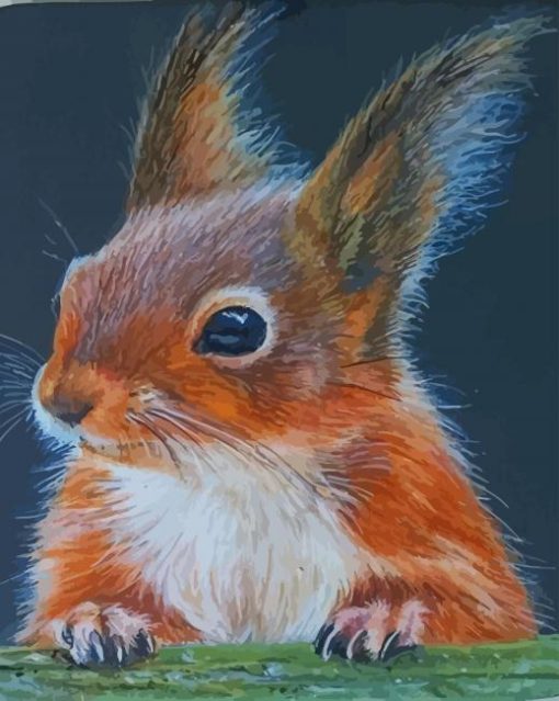 Squirrel Animal paint by numbers