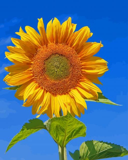 Sunflower Blue Sky paint by numbers