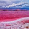 The Pink Lake Of Torrevieja Spain paint by number
