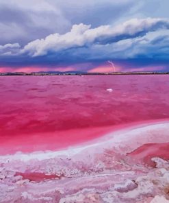 The Pink Lake Of Torrevieja Spain paint by number