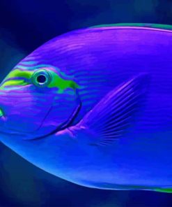 Tropical Blue Fish paint by number