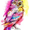 Watercolor Owl paint by numbers