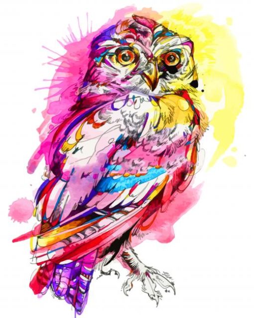 Watercolor Owl paint by numbers