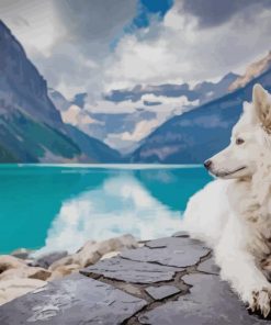 White Dog In Banff National Park paint by numbers