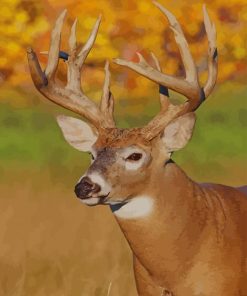 White-tailed-deer paint by numbers paint by numbers