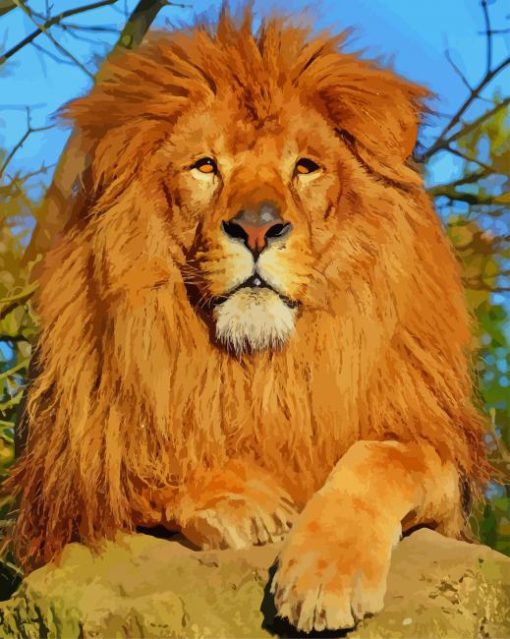 African Lion paint by numbers