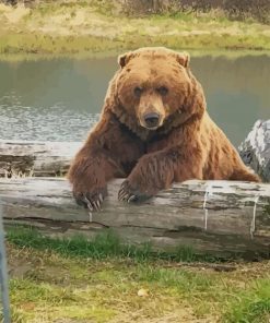 Alaskan Bear paint by numbers