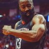 American Player James Harden paint by numbers