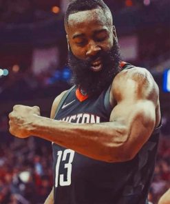 American Player James Harden paint by numbers