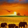 Animals Silhouette Sunset paint by numbers