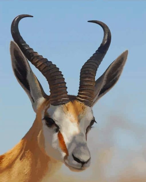 Antelope with Horns paint by numbers