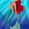 Ariel Princess Mermaid paint by numbers