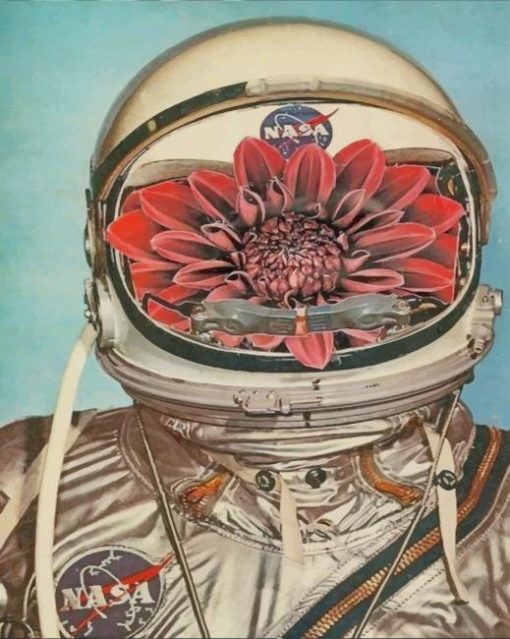 astronaut and flowers paint by number