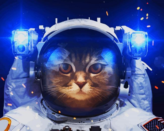 Astronaut Cat paint by number