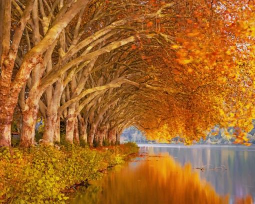 Autumn Trees Near Lake paint by number