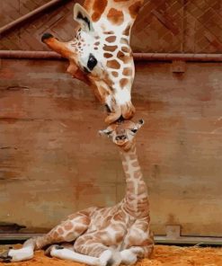 Baby and Mum Giraffe paint by numbers