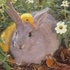 Baby Ducks And Bunnies paint by numbers
