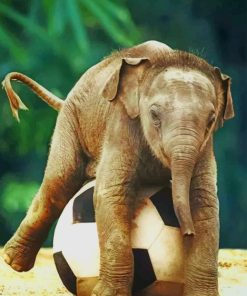 Baby Elephant paint by numbers