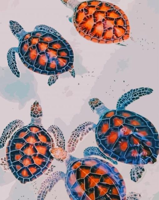 Baby Turtles paint by numbers