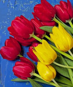 Yellow and Red Tulips paint by numbers