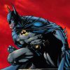Batman Comics Bernie Wrightson paint by number