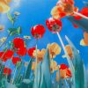 Beautiful Poppies Flowers paint by number