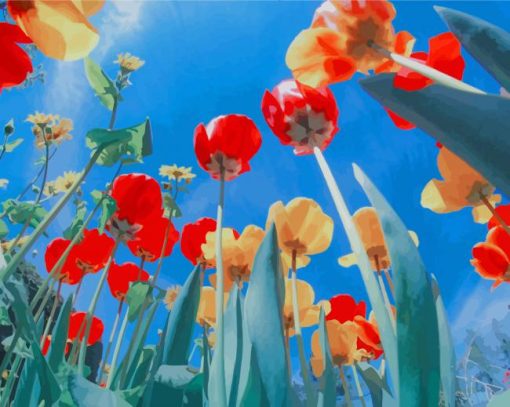 Beautiful Poppies Flowers paint by number