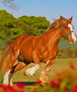 Beautiful Brown Horse paint by numbers