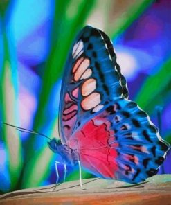 Beautiful Butterfly paint by numbers