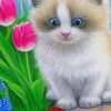 Beautiful Cat and Flowers paint by numbers