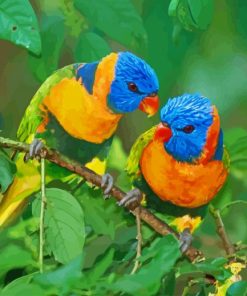 Beautiful Colorful Birds paint by numbers