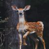 Beautiful Deer Animal paint by numbers