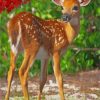 Beautiful deer paint by numbers