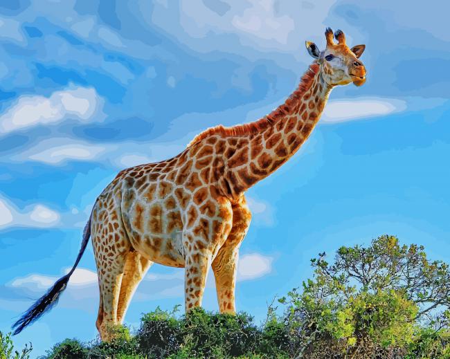 Beautiful Giraffe paint by number