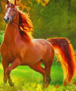 Beautiful Horse paint by numbers