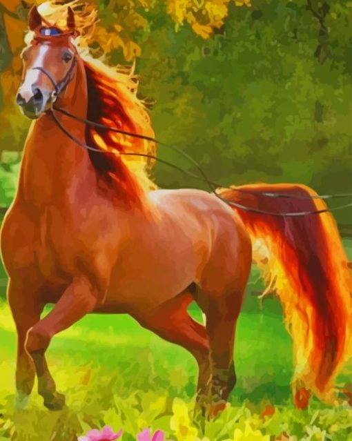 Beautiful Horse paint by numbers
