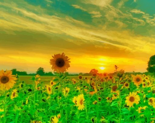 Beautiful Nature Sunflowers paint by number