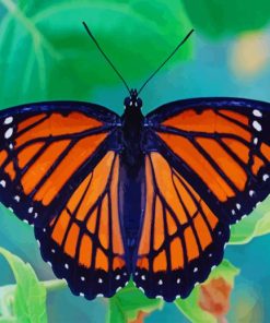 Beautiful Orange Butterfly paint by numbres