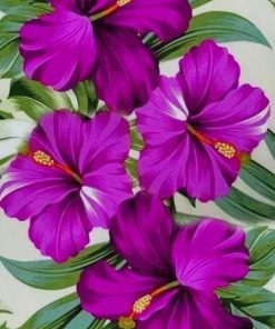 Beautiful Purple Flowers paint by numbers