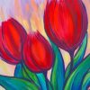 Beautiful Red tulip paint by numbers