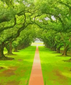Beautiful Road Between Trees paint by numbers