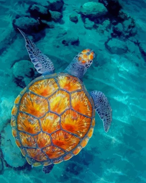 Beautiful Sea Turtle paint by numbers